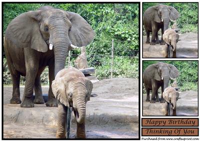 Baby Elephant Topper