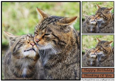 Scottish Wildcat with Her Kitten Topper