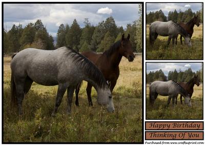 Two Horses Topper