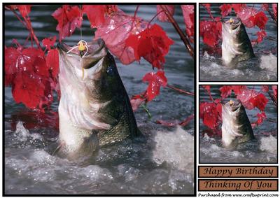 Bass Fishing in the Fall Topper