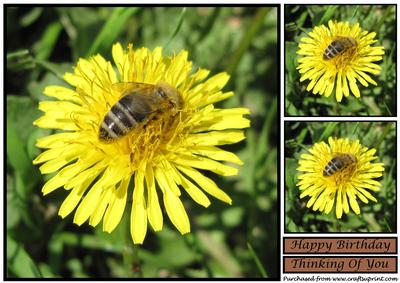 Bee on a Dandelion Topper