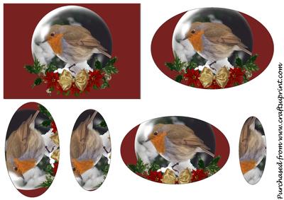 Christmas Robin Snow Globe Oval Pyramid