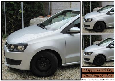 Silver Car Topper