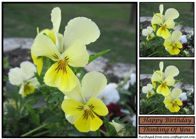 Yellow Pansies Topper