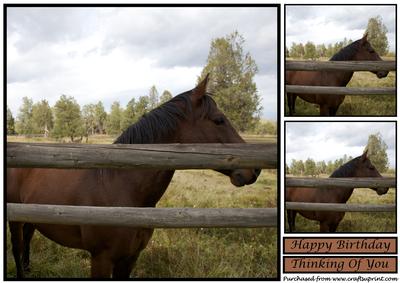 Horse Behind a Fence Topper