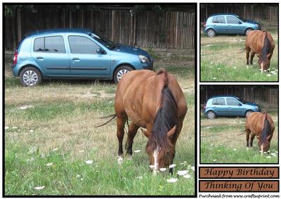 Car and Horse Topper