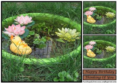 Cute Garden Pond Topper