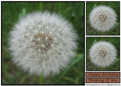 Dandelion Seed Head Topper