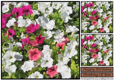 Floral Beauty Topper