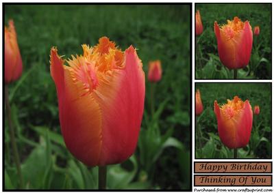 Floral Tulip Topper 2