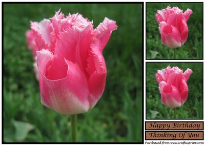 Floral Tulip Topper 3