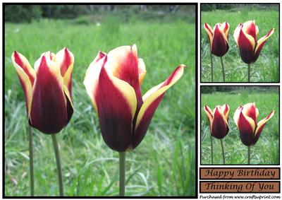Floral Tulip Topper 4