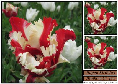 Floral Tulip Topper 5