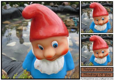 Garden Dwarf Topper