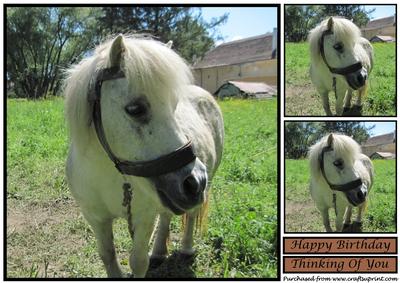 White Horse Topper