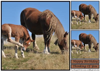 Mare and Foal Topper