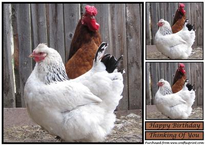 Hen and Cock Topper