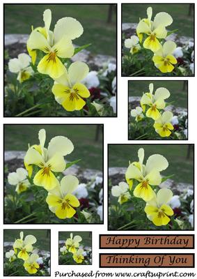 Yellow Pansies Toppers