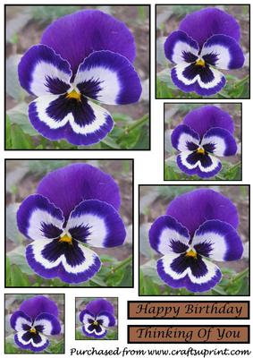 Blue Pansy Toppers