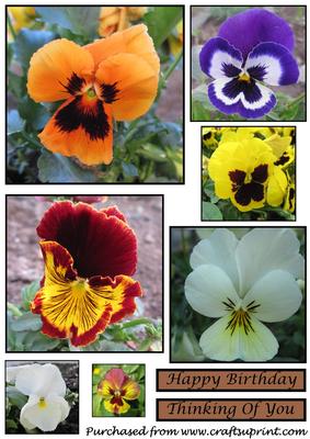 Floral Pansy Toppers