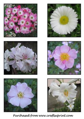 Mixed Flowers Toppers