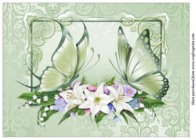Butterflies and Flowers A4