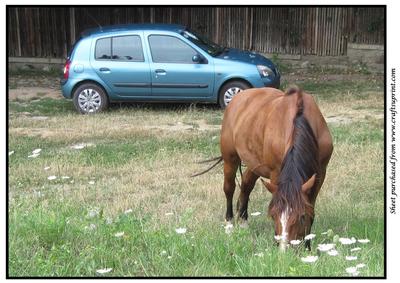 Car and Horse A4