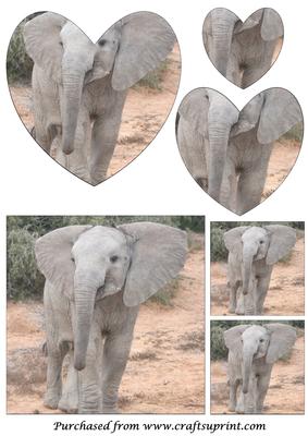 Cute Baby Elephant Heart Shaped Pyramid