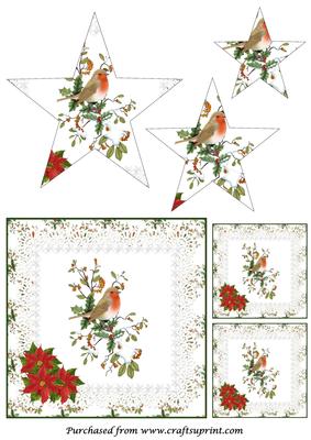 Christmas Robin on Branch Star Pyramid