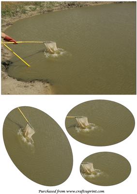 Net Fishing Oval Pyramid