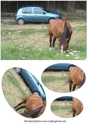 Car and Horse Oval Pyramid