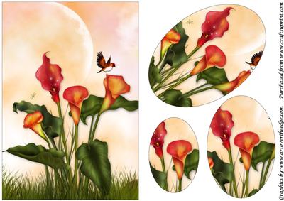 Calla Lilies Oval Pyramid
