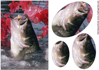 Bass Fishing in the Fall Oval Pyramid