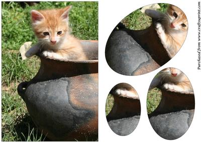 Cute Kitten in a Pot Oval Pyramid