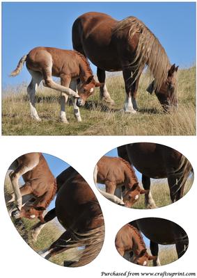 Mare and Foal Oval Pyramid