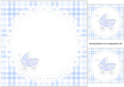 Baby Boy Carriage Insert
