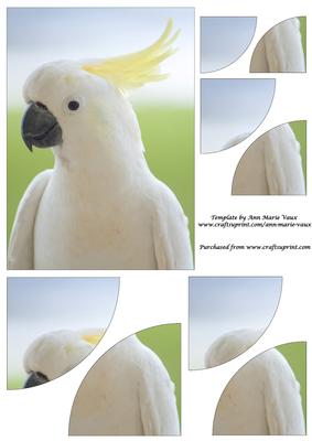 White Cockatoo Duo Corner Stacker