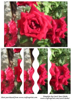 Red Rose Watercolour Wavy Side Stacker