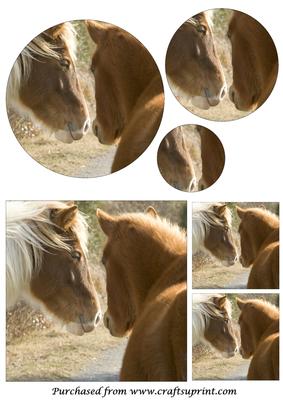 Wild Horses Circle Pyramid