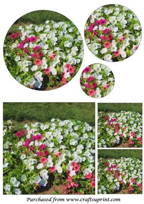 Floral Beauty Painting Circle Pyramid