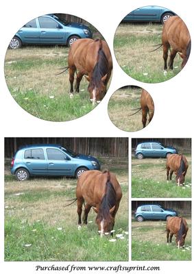 Car and Horse Circle Pyramid