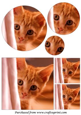 Curious Kitten Painting Circle Pyramid