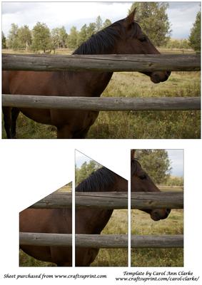 Horse Behind a Fence Quick Card