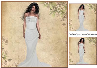 Bride with White Dress Topper