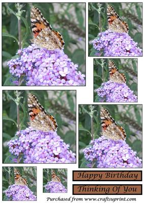 Butterfly and Flower Toppers
