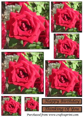 Red Rose Toppers