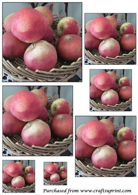 Apples in Basket Toppers