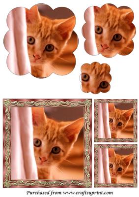Curious Kitten Painting Scalloped Pyramid