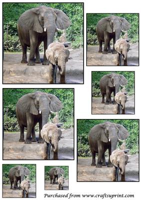 Baby Elephant Toppers