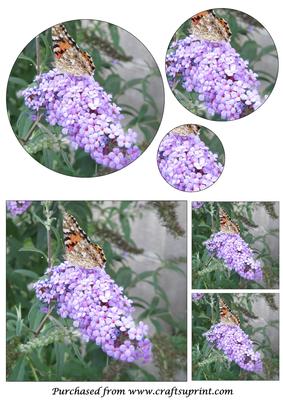 Butterfly and Flower Circle Pyramid